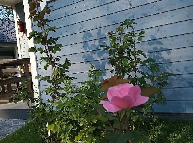 Domek letniskowy Na Leśnej